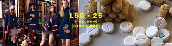 гидропоника Гусиноозёрск