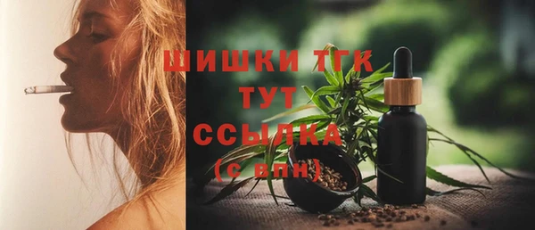 гидропоника Гусиноозёрск