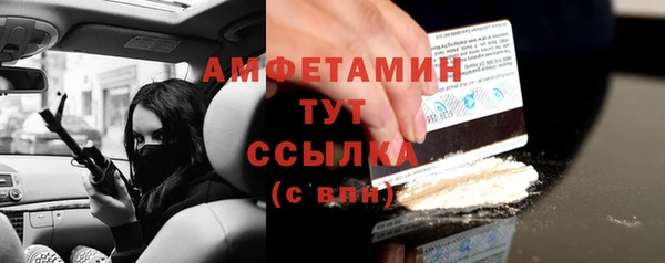 сатива Гусь-Хрустальный