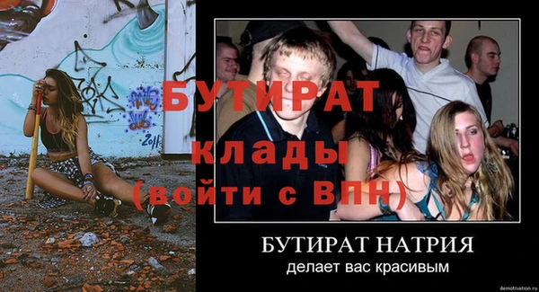 сатива Гусь-Хрустальный