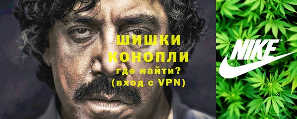 гидропоника Гусиноозёрск