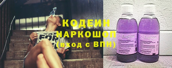 гидропоника Гусиноозёрск