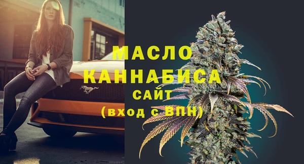 сатива Гусь-Хрустальный