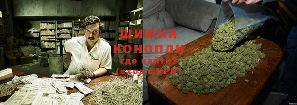 гидропоника Гусиноозёрск